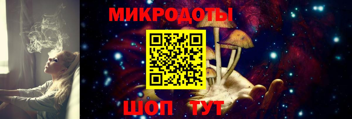 Псилоцибиновые грибы Psilocybe  хочу   Пугачёв  Вход с VPN 