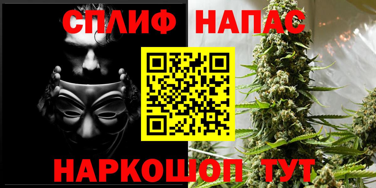 Бошки Шишки ГИДРОПОН Пугачёв