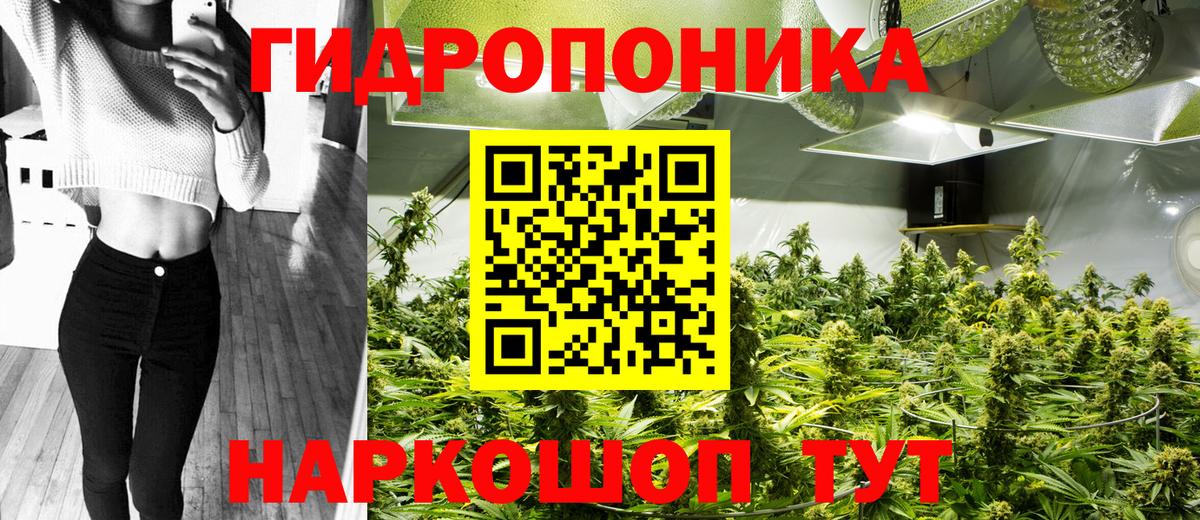 Конопля семена  Вход с VPN  Пугачёв  Марихуана White Widow  Конопля VHQ 